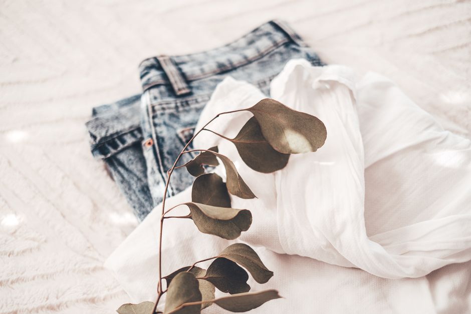 Stylish flat lay featuring denim jeans, white top, and eucalyptus branch, showcasing casual fashion.